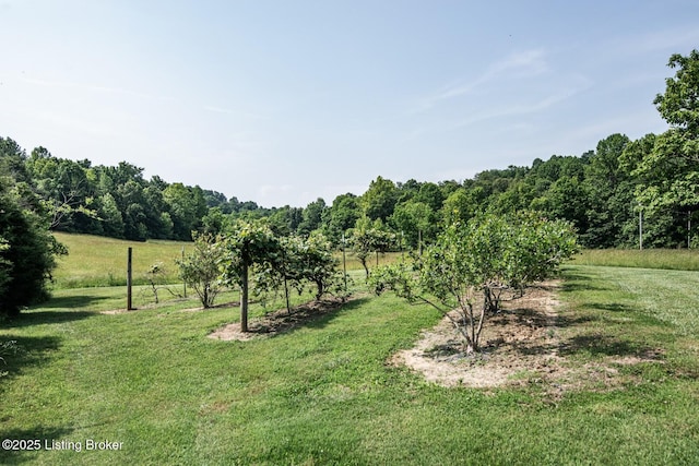 201 Wildflower Ln, Big Springs, KY 40175 - view of grassy yard featuring a view of rural / pastoral area