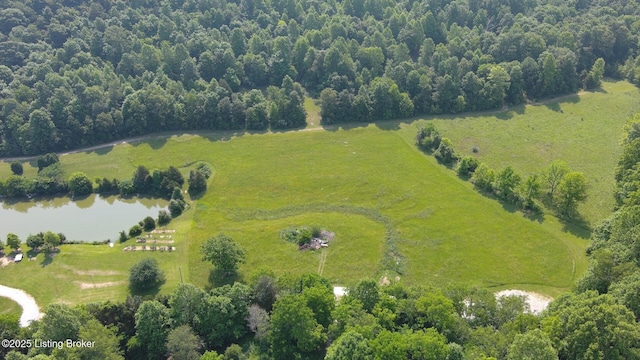 201 Wildflower Ln, Big Springs, KY 40175 - aerial view of sparsely populated area with a large body of water