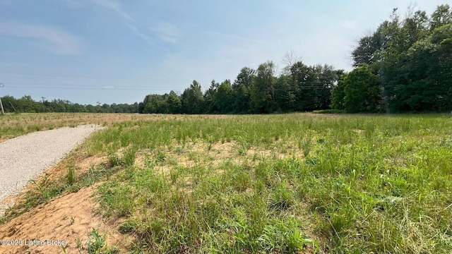 LOT4 Summit Rd, Big Clifty, KY 42712