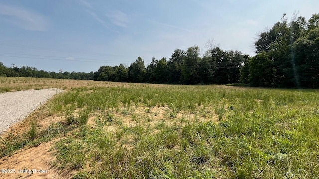 LOT4 Summit Rd, Big Clifty, KY 42712