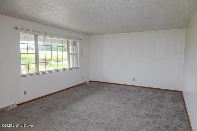 3110 Mount Lebanon Rd, Charlestown, IN 47111 - unfurnished room featuring a textured ceiling, carpet flooring, and baseboards