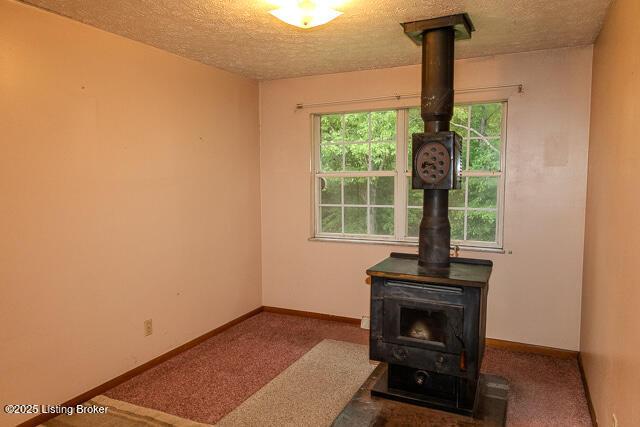 3110 Mount Lebanon Rd, Charlestown, IN 47111 - detailed view of a wood stove, a textured ceiling, carpet floors, and baseboards