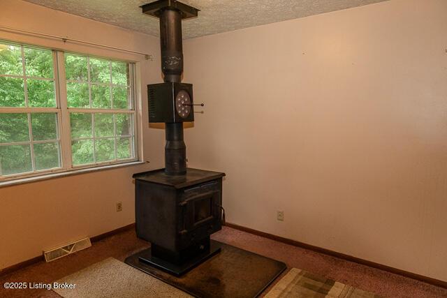 3110 Mount Lebanon Rd, Charlestown, IN 47111 - detailed view of a wood stove, a textured ceiling, and baseboards