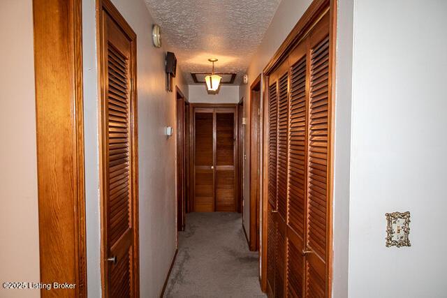 3110 Mount Lebanon Rd, Charlestown, IN 47111 - hallway with a textured ceiling and carpet flooring