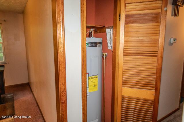 3110 Mount Lebanon Rd, Charlestown, IN 47111 - detailed view of water heater and carpet