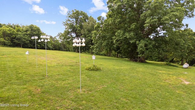 363 Old Ridge Rd, Shepherdsville, KY 40165 - photo 20