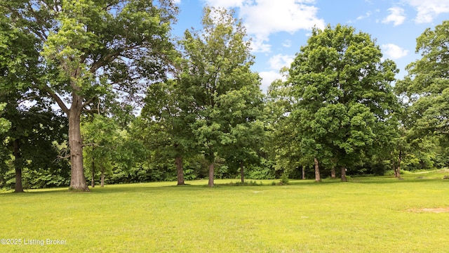 363 Old Ridge Rd, Shepherdsville, KY 40165 - photo 21