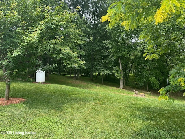 140 Ranch Ln, Loretto, KY 40037 - view of grassy yard