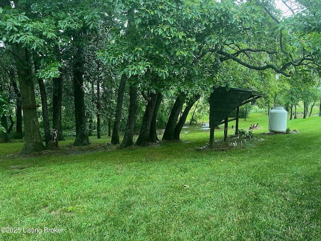 140 Ranch Ln, Loretto, KY 40037 - view of grassy yard
