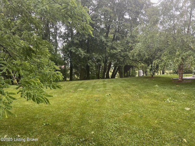 140 Ranch Ln, Loretto, KY 40037 - view of grassy yard