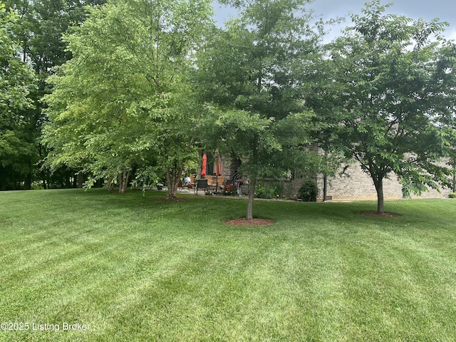 140 Ranch Ln, Loretto, KY 40037 - view of green lawn