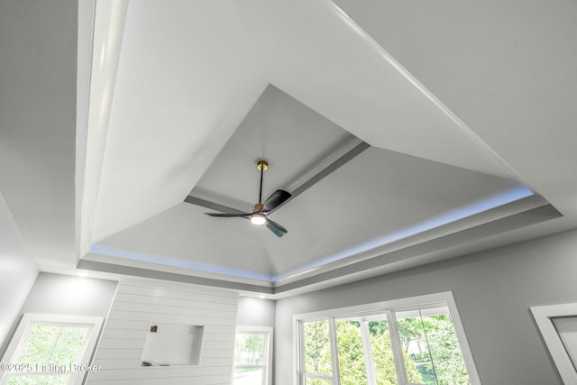 912 Artisan Pkwy, La Grange, KY 40031 - detailed view of a tray ceiling and ceiling fan