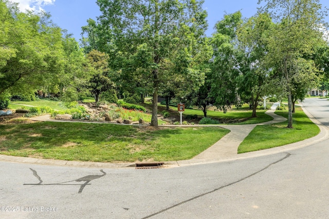 912 Artisan Pkwy, La Grange, KY 40031 - view of property's community with a lawn and view of wooded area