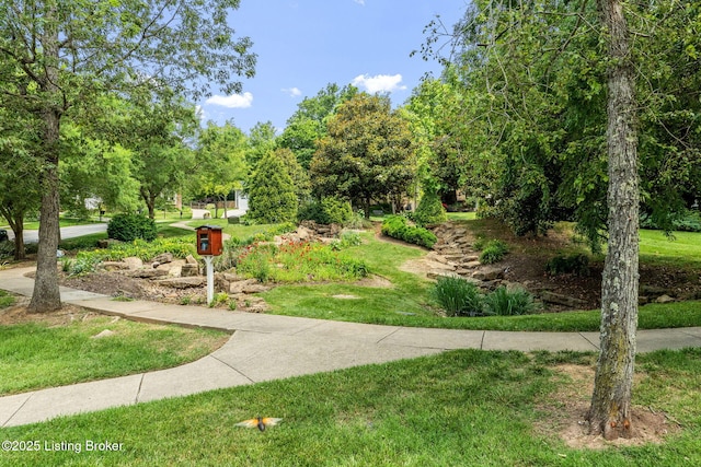 912 Artisan Pkwy, La Grange, KY 40031 - surrounding community featuring a yard and view of wooded area
