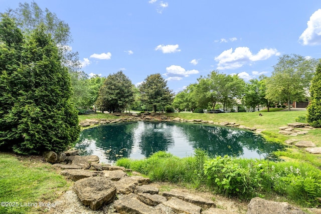 912 Artisan Pkwy, La Grange, KY 40031 - water view