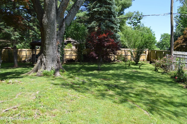 7506 Greenlawn Rd, Louisville, KY 40242 - view of yard