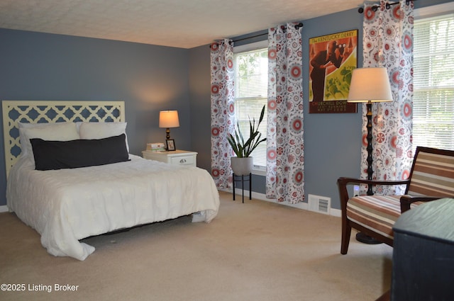 7506 Greenlawn Rd, Louisville, KY 40242 - carpeted bedroom with baseboards and multiple windows