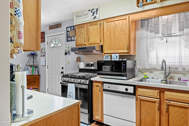 1261 Lipps Ln, Louisville, KY 40219 - kitchen featuring under cabinet range hood, stainless steel appliances, a sink, light countertops, and a textured ceiling