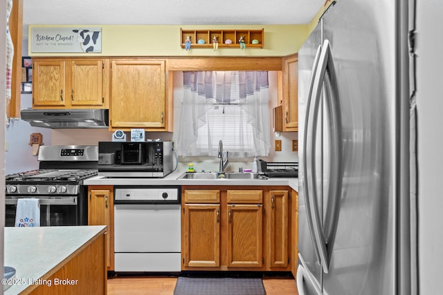 1261 Lipps Ln, Louisville, KY 40219 - kitchen featuring stainless steel appliances, under cabinet range hood, a sink, light countertops, and light wood-style flooring