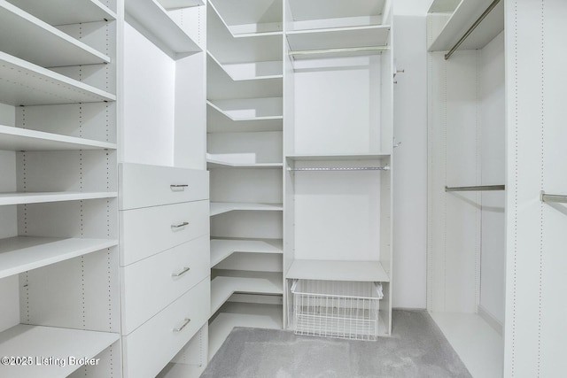 603 Woodlake Dr, Louisville, KY 40245 - view of spacious closet