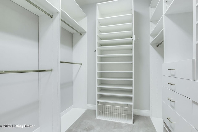 603 Woodlake Dr, Louisville, KY 40245 - spacious closet with carpet flooring