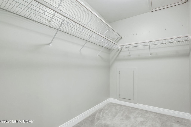 603 Woodlake Dr, Louisville, KY 40245 - walk in closet with light carpet