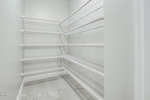 603 Woodlake Dr, Louisville, KY 40245 - view of storage area