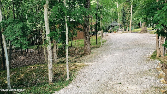 282 Lakeview Ln, Mcdaniels, KY 40152 - view of dirt / gravel driveway