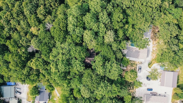 282 Lakeview Ln, Mcdaniels, KY 40152 - aerial view of property's location