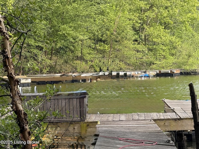 282 Lakeview Ln, Mcdaniels, KY 40152 - dock area featuring a water view and a view of trees