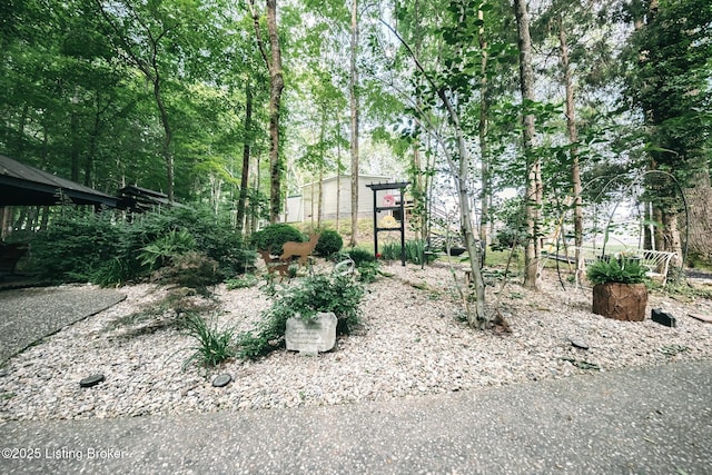 282 Lakeview Ln, Mcdaniels, KY 40152 - view of yard featuring a view of trees