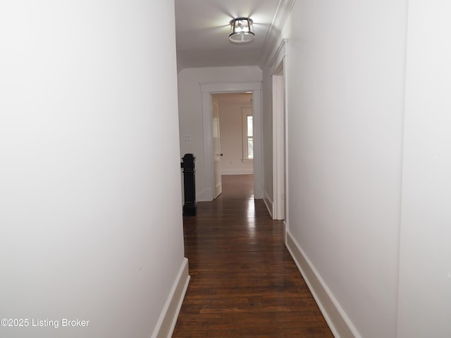 241 E Main St, Taylorsville, KY 40071 - photo 24