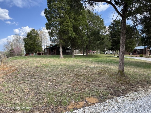 661 Blue Bird Rd, Falls Of Rough, KY 40119 - view of green lawn