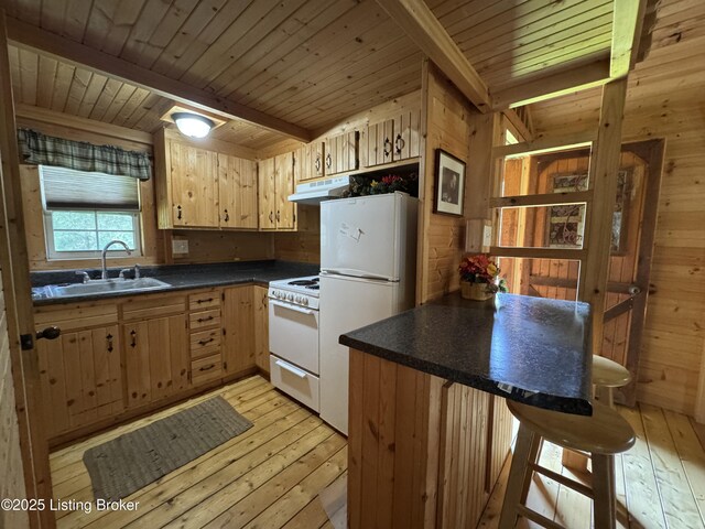 661 Blue Bird Rd, Falls Of Rough, KY 40119 - kitchen featuring white appliances, a sink, under cabinet range hood, light wood-style flooring, and dark countertops