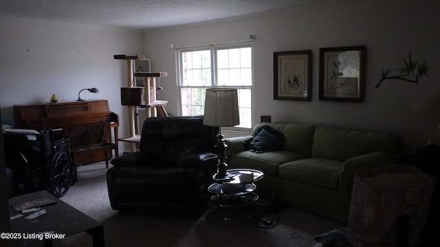8612 Locust Ct Unit 36, Louisville, KY 40242 - photo 4