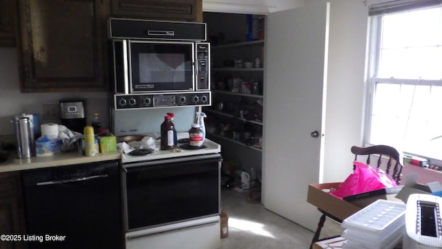 8612 Locust Ct Unit 36, Louisville, KY 40242 - photo 9