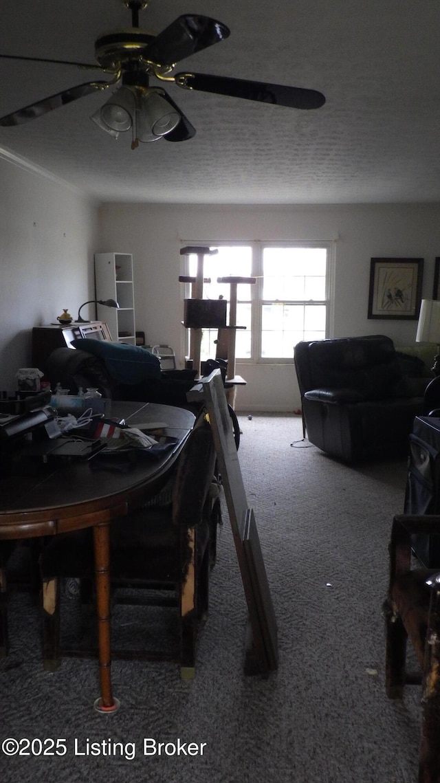8612 Locust Ct Unit 36, Louisville, KY 40242 - photo 5