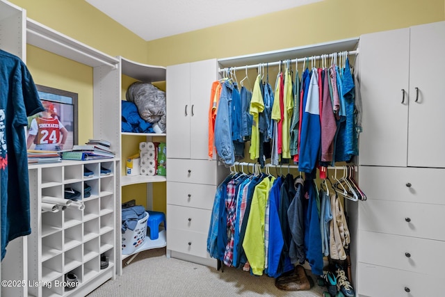 177 Airport Rd, Leitchfield, KY 42754 - spacious closet featuring carpet flooring