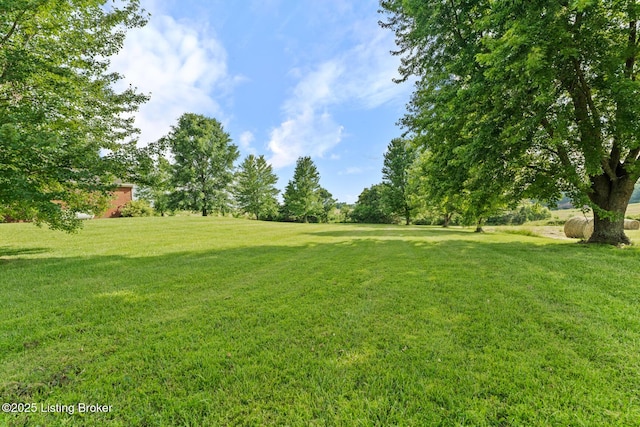 177 Airport Rd, Leitchfield, KY 42754 - view of grassy yard
