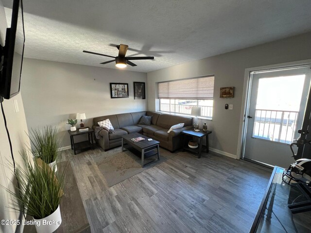 312 Casa Bella Ct, Louisville, KY 40220 - photo 4