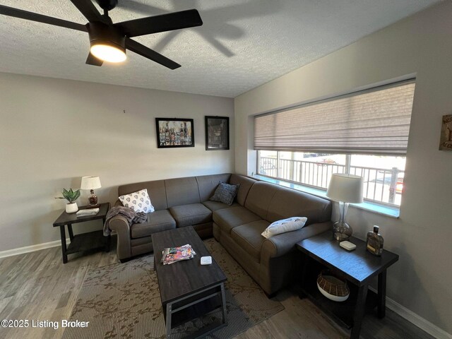 312 Casa Bella Ct, Louisville, KY 40220 - photo 7