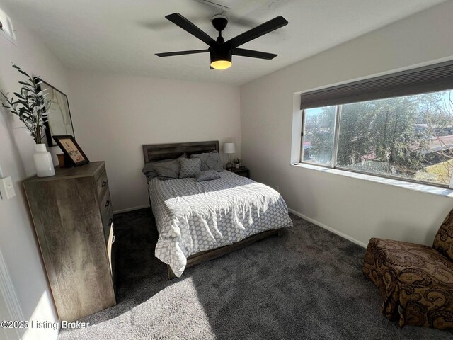 312 Casa Bella Ct, Louisville, KY 40220 - photo 20