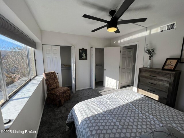 312 Casa Bella Ct, Louisville, KY 40220 - photo 23