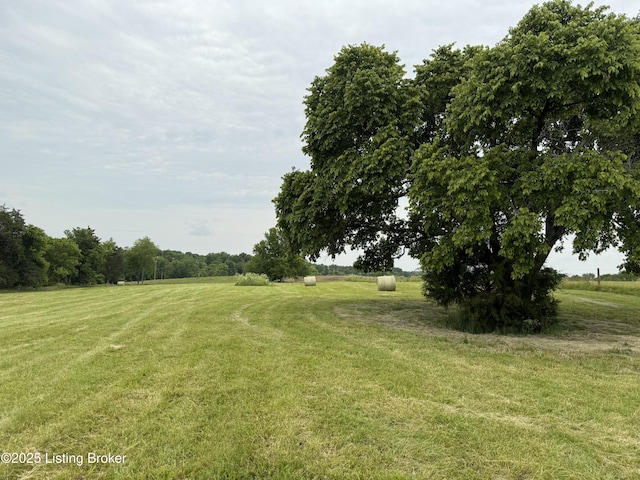 TRACT1 Beechland Rd, Springfield, KY 40069 - photo 6