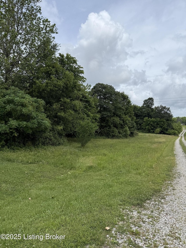 775 Constantine Vertrees Rd, Garfield, KY 40140 - view of nature