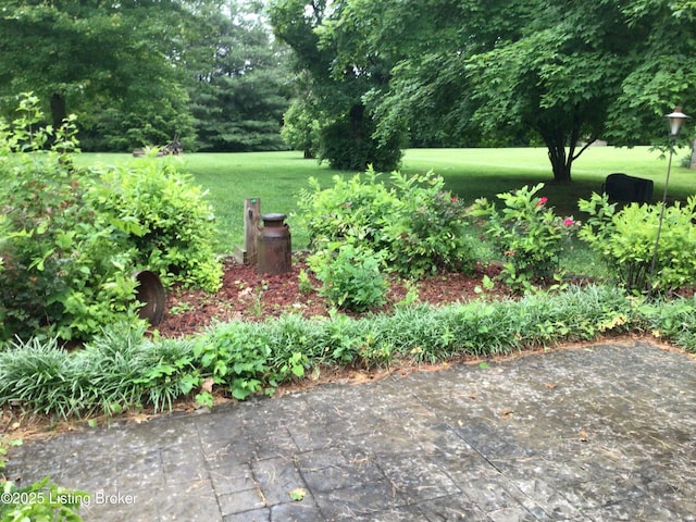 1117 Breezy Way, Bardstown, KY 40004 - view of green lawn