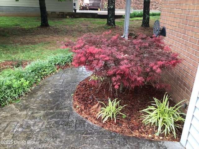 1117 Breezy Way, Bardstown, KY 40004 - view of yard
