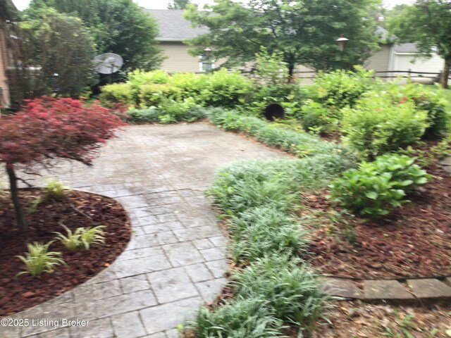 1117 Breezy Way, Bardstown, KY 40004 - view of yard