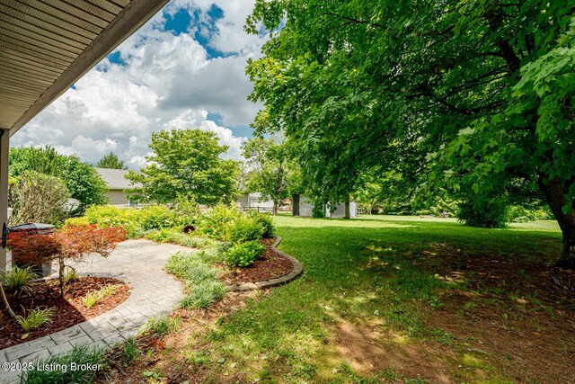 1117 Breezy Way, Bardstown, KY 40004 - view of grassy yard