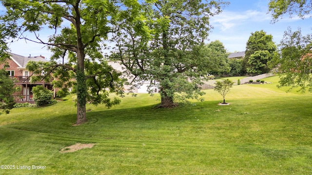 14312 Micawber Way, Louisville, KY 40245 - view of green lawn
